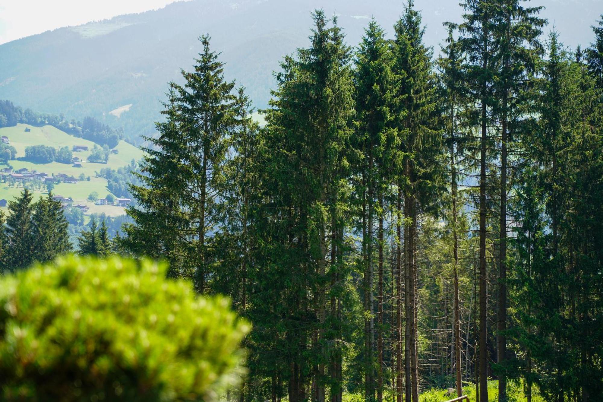 Chalet Wildruh Ried im Zillertal Esterno foto